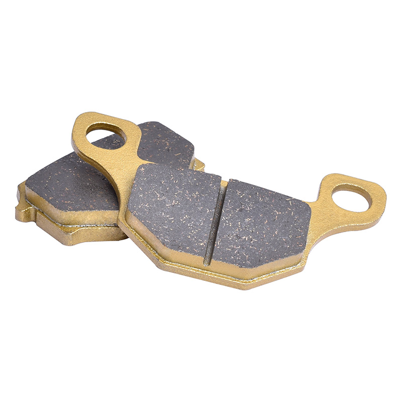 Pastillas de Freno Delanteras  - Brake Pads Bike reseña y precio